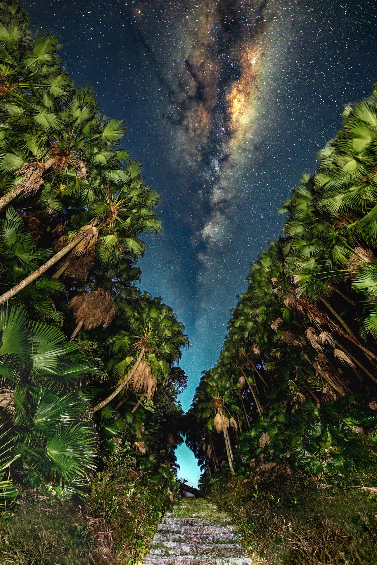 Stairway to Heaven, fotografia fine art de Bruno Boni. Uma escadaria sobe entre um corredor de palmeiras e conduz ao céu. A Via Láctea, alinhada com o vão, aparece nítida na…